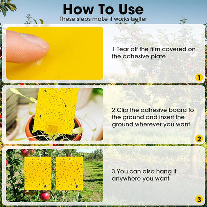 Qualirey 220 Pcs 7.9 x 4 Inch Yellow Sticky Traps for Plant Gnats Dual Sided Fruit Fly Sticky Traps for Indoors Outdoors with Twist Ties & Plastic Holders for Insect, Fungus Gnats, Whiteflies, Aphids