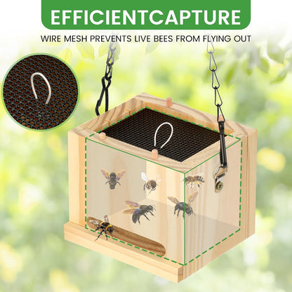 Carpenter Bee Trap for Outside - Wasp Traps Outdoor Hanging with Sticky Traps - Carpenter for Wasps, Mud Daubers (2 Bee Trap+8 Refills)