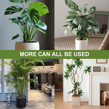 Monstera Plant Support, 16Pcs 4 Sizes Plant Stem Holders Reusable Plant Stakes for Indoor Plants Accessories Garden Tools