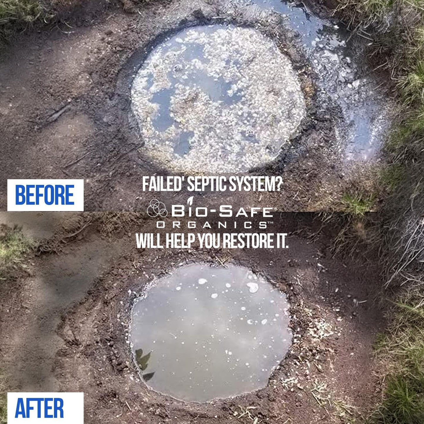 DrainFix & Septic Restorer – 32 oz Enzyme Septic Tank Treatment & Drainfield Restoration – Organic Drain Cleaner for Sewer Lines, RV & Home Plumbing – Safe for Pipes & Septic Systems