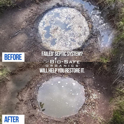 DrainFix & Septic Restorer – 32 oz Enzyme Septic Tank Treatment & Drainfield Restoration – Organic Drain Cleaner for Sewer Lines, RV & Home Plumbing – Safe for Pipes & Septic Systems