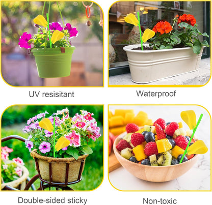 Fruit Fly Traps, 100 Pack Yellow Sticky Traps, Fungus Gnat Traps, Plant Fly Stickers for Indoor and Outdoor Use Protect The Plant