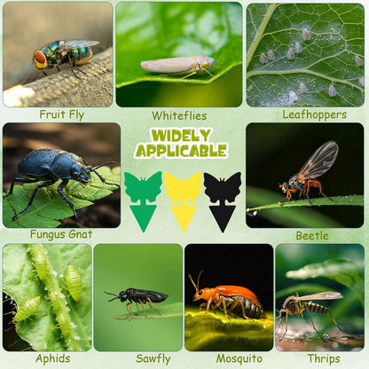 120 Pack Fruit Fly Traps Fungus Gnat Sticky Traps Yellow Black Green Plant Fly Stickers Double Side with Shovel for Indoor Outdoor Kitchen Garden Houseplant Flying Bug Insect (Flower)