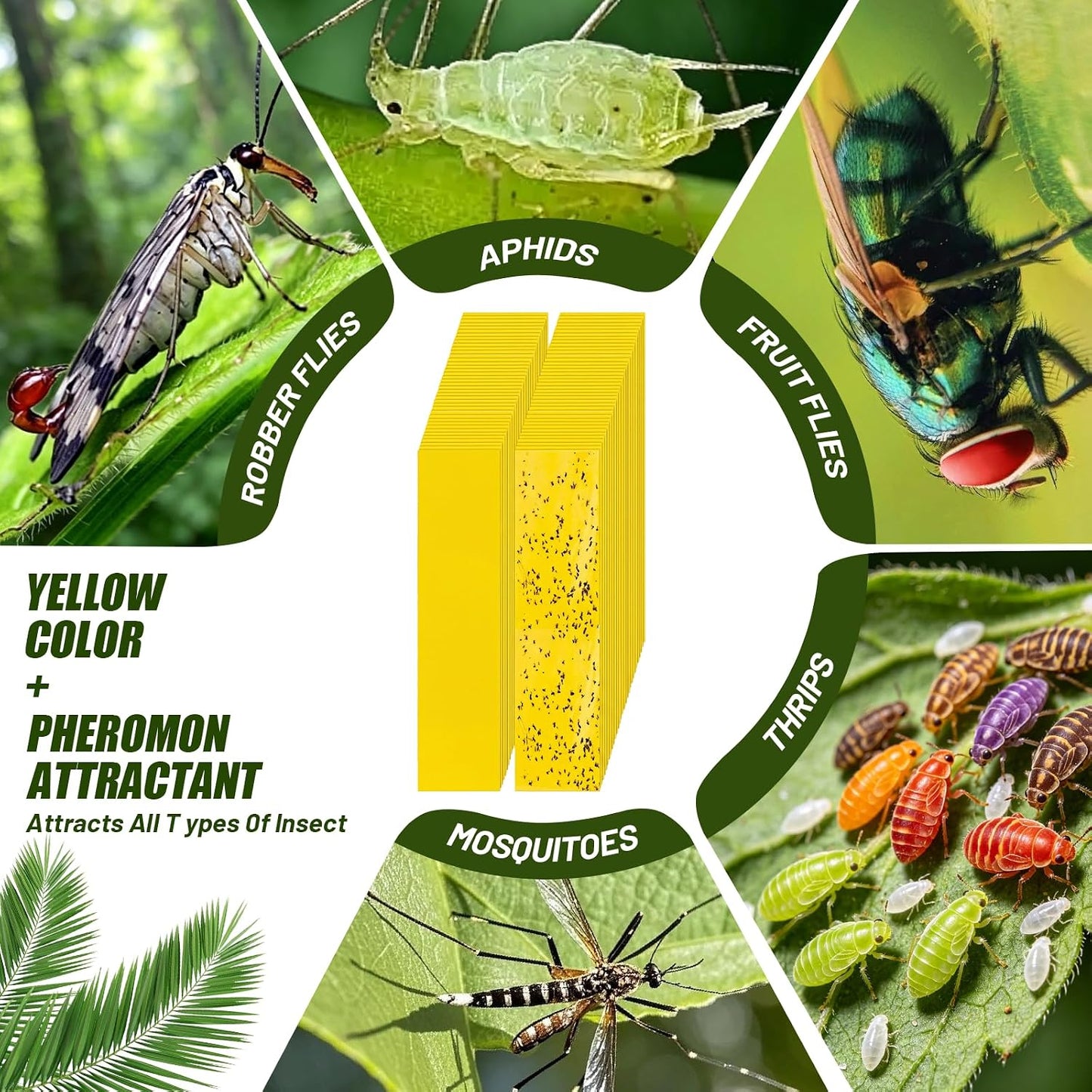250 Pack Yellow Sticky Fly Traps for Gnats Indoor Outdoor with Twist Ties Double Sided Hanging Fly Paper Strips for Plant Insect Mosquitoes Fruit Flies Garden Farm Kitchen (2 x 10 Inch)