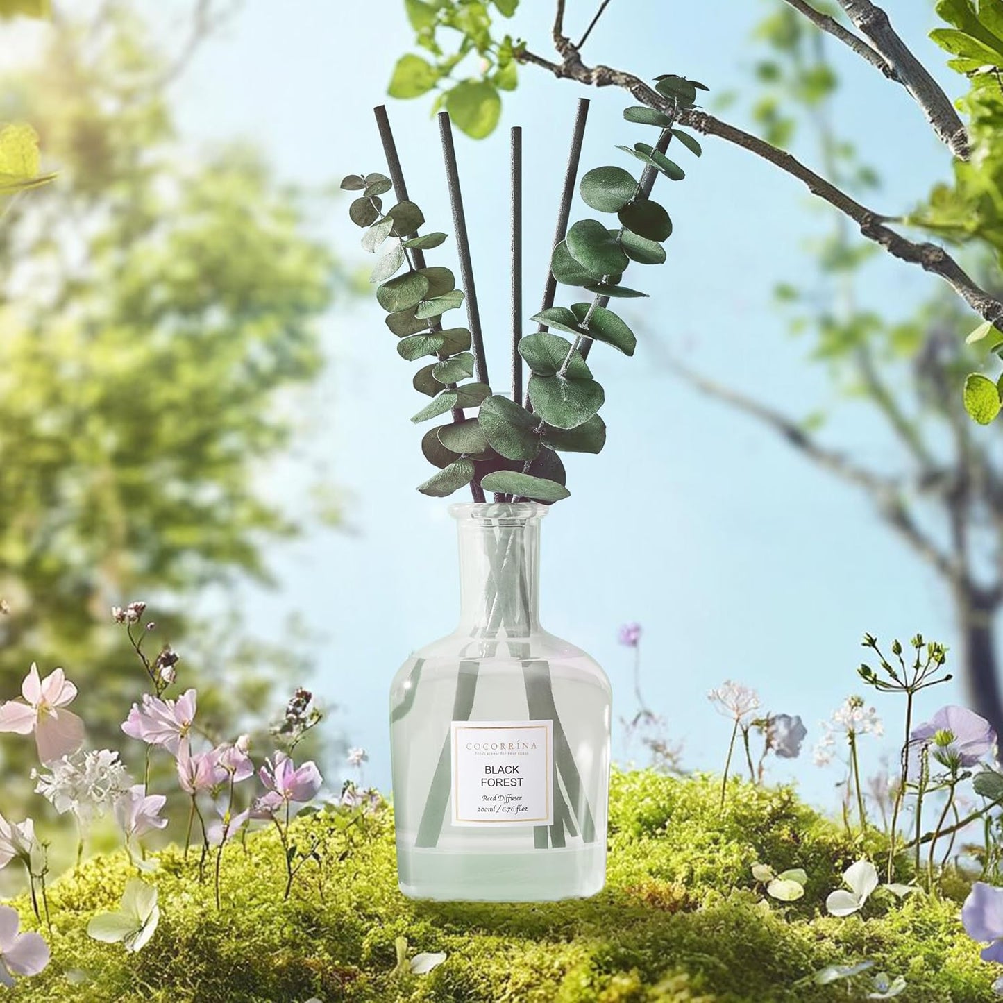 COCORRÍNA Wild Mint & Eucalyptus Reed Diffuser – 6.76 oz Essential Oil with 8 Reeds & Real Eucalyptus Sticks, Home Fragrance for Bedroom or Bathroom Décor