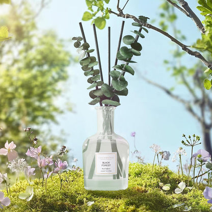 COCORRÍNA Wild Mint & Eucalyptus Reed Diffuser – 6.76 oz Essential Oil with 8 Reeds & Real Eucalyptus Sticks, Home Fragrance for Bedroom or Bathroom Décor