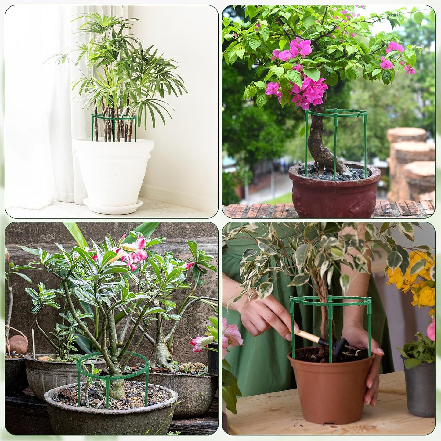 12 Pack Plant Support Stakes, 6.3 x 5.9 Inch Plastic Plant Cage Holders | Half Round Plants Support, Garden Flower Stakes, for Indoor Outdoor Climbing Plants Vegetable Flower Pot