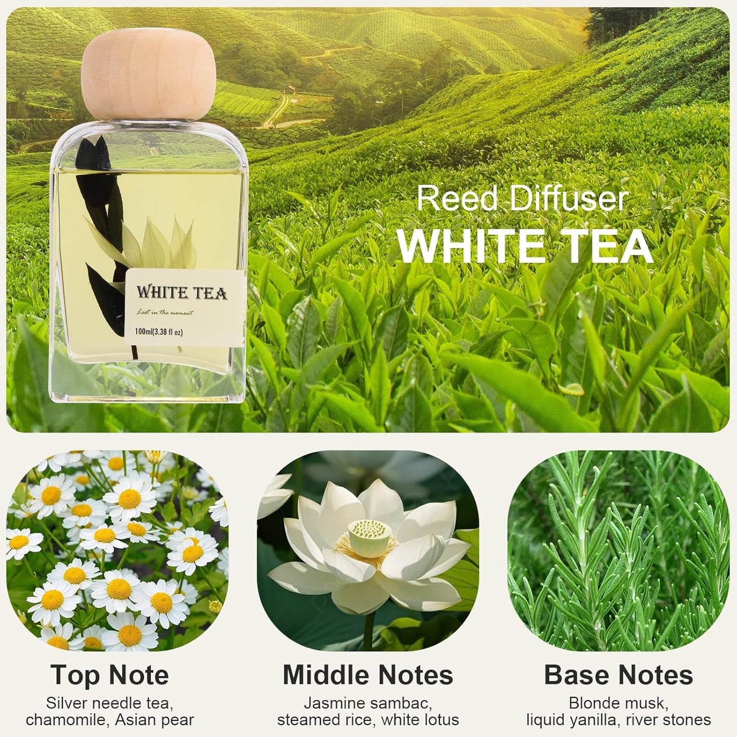 Luxury Hotel Scent Reed Diffuser 100ml (3.38oz) | No.1898 Hotel Collection Diffuser Oil Inspired by Ritz Carlton | Home, Bathroom & Office Decor | Long-Lasting Room Freshener Gift Set
