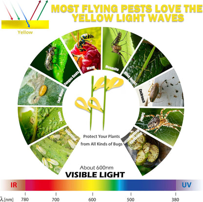 30PCS Fruit Fly Traps for Indoors Gnat Traps for House Indoor Yellow Sticky Traps for Plant Gnats Catcher for Whiteflies Fungus Gnat Mosquitoes Thrips... Stake Holders Included