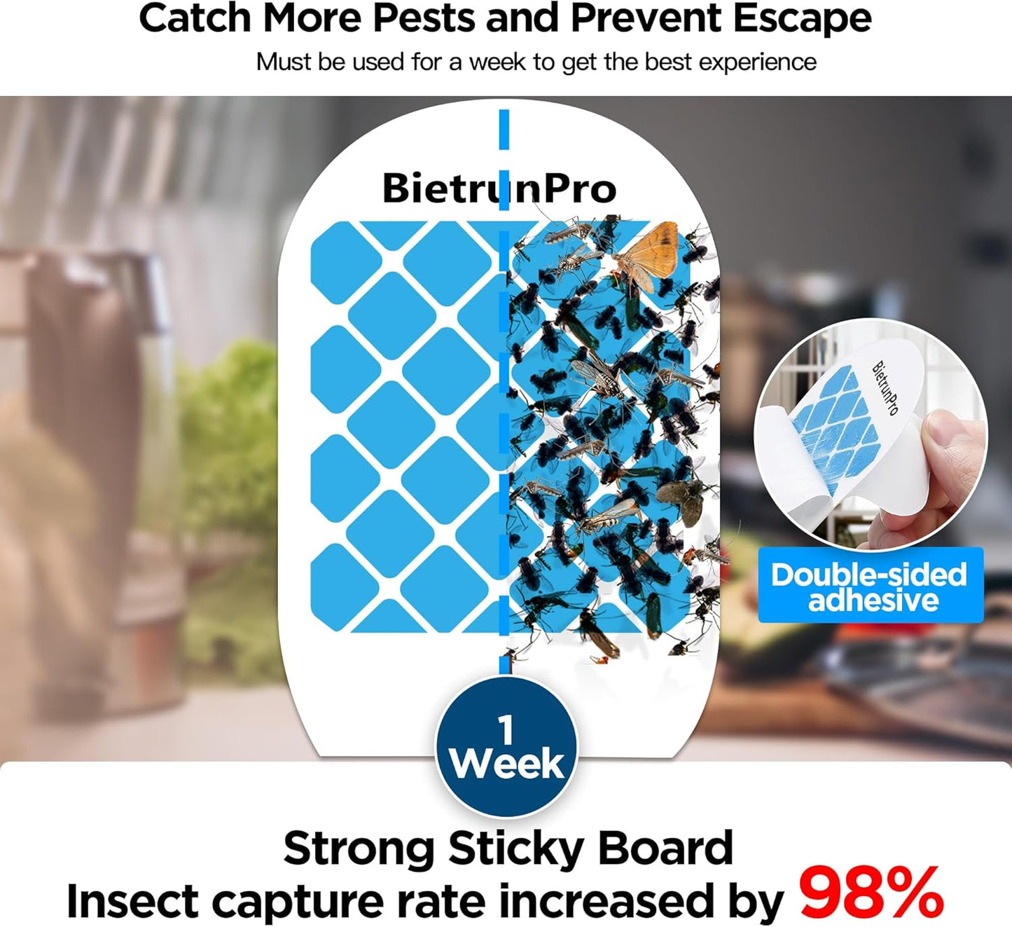 Indoor Fruit Fly & Gnat Traps Plug-in - UV/Blue Light Insect Trap with 2 Devices+6 Refills, Safe & Odorless Flying Insect Catcher for House/Kitchen/Office - Get Rid of Mosquitoes, Moths, Gnats