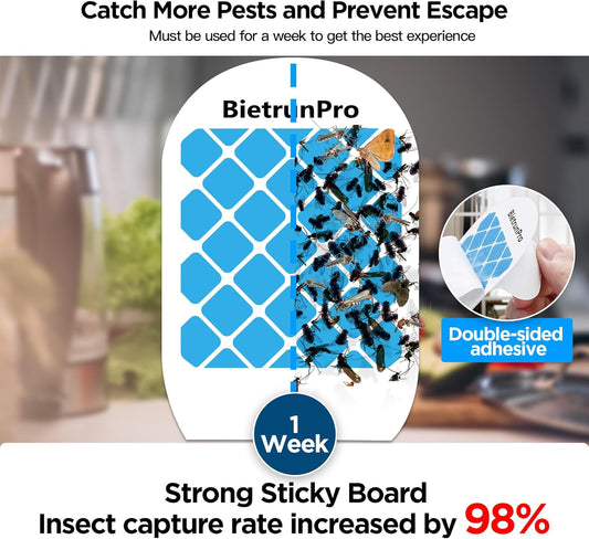 Indoor Fruit Fly & Gnat Traps Plug-in - UV/Blue Light Insect Trap with 2 Devices+6 Refills, Safe & Odorless Flying Insect Catcher for House/Kitchen/Office - Get Rid of Mosquitoes, Moths, Gnats