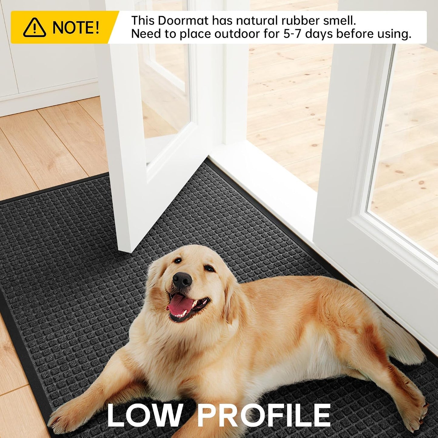 Front Door Mat Indoor Outdoor, 48" x 36" Non Slip Welcome Doormat for Entryway, Heavy Duty Low Profile Entrance Rug for High Traffic Areas, Patio, Outside Entry, Yard, Porch Waterproof