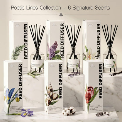 Reed Diffuser Set for Bathroom & Home, Long Lasting Essential Oil Aroma, Glass Bottle Home Fragrance with Sticks, Ideal Gift for Woman, 9.85oz (280ml) (Vanilla Cream)