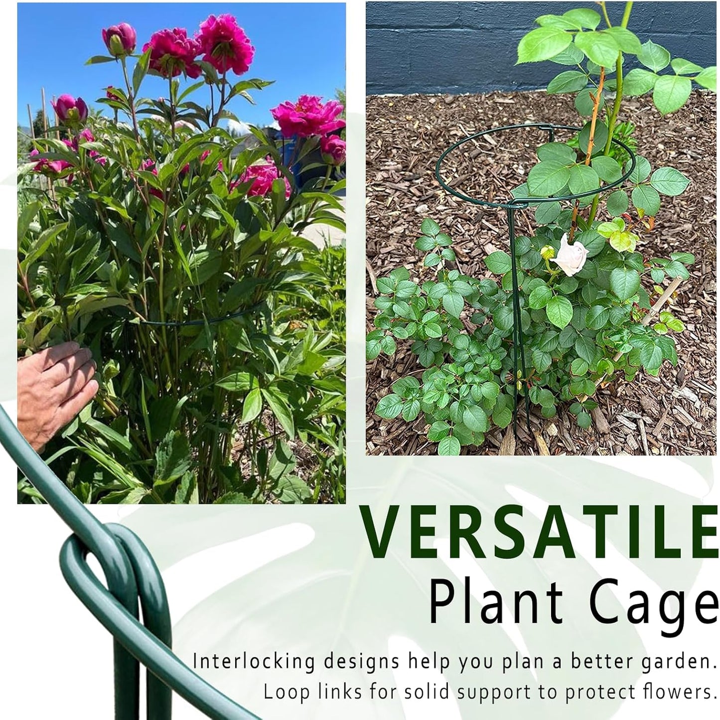 6 Pack Detachable & Assemblable Metal Plant Support Stakes - Garden Support Ring, Tomato Seedling Cage, Young Monstera/Pothos for Growing Indoor/Outdoor (10" W x 16" H)
