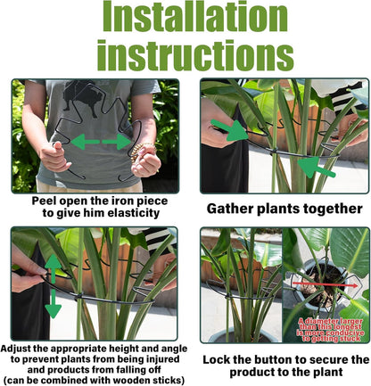 Yohsnor Monstera Plant Stem Support System - 5 Piece Set (5.5x4.7in) | Durable Plant Support Stakes for Climbing Plants & Fishbone Cactus | Ideal Leaf Stabilizer for Indoor Plants & Monstera Care
