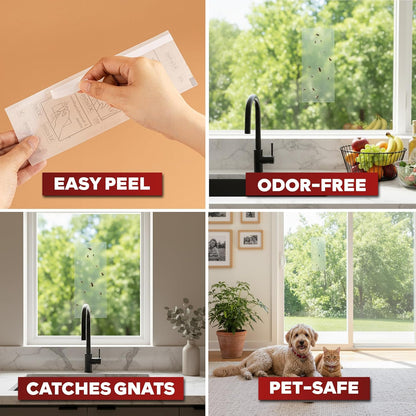 XFasten Window Fly Traps Sticky Clear 100-Pack Fruit Fly Traps for Indoors Sticky, Residue-Free, Odorless, Discreet Adhesive Indoor Catcher for Fruit Flies Houseflies, Gnats on Windows Kitchen Garage