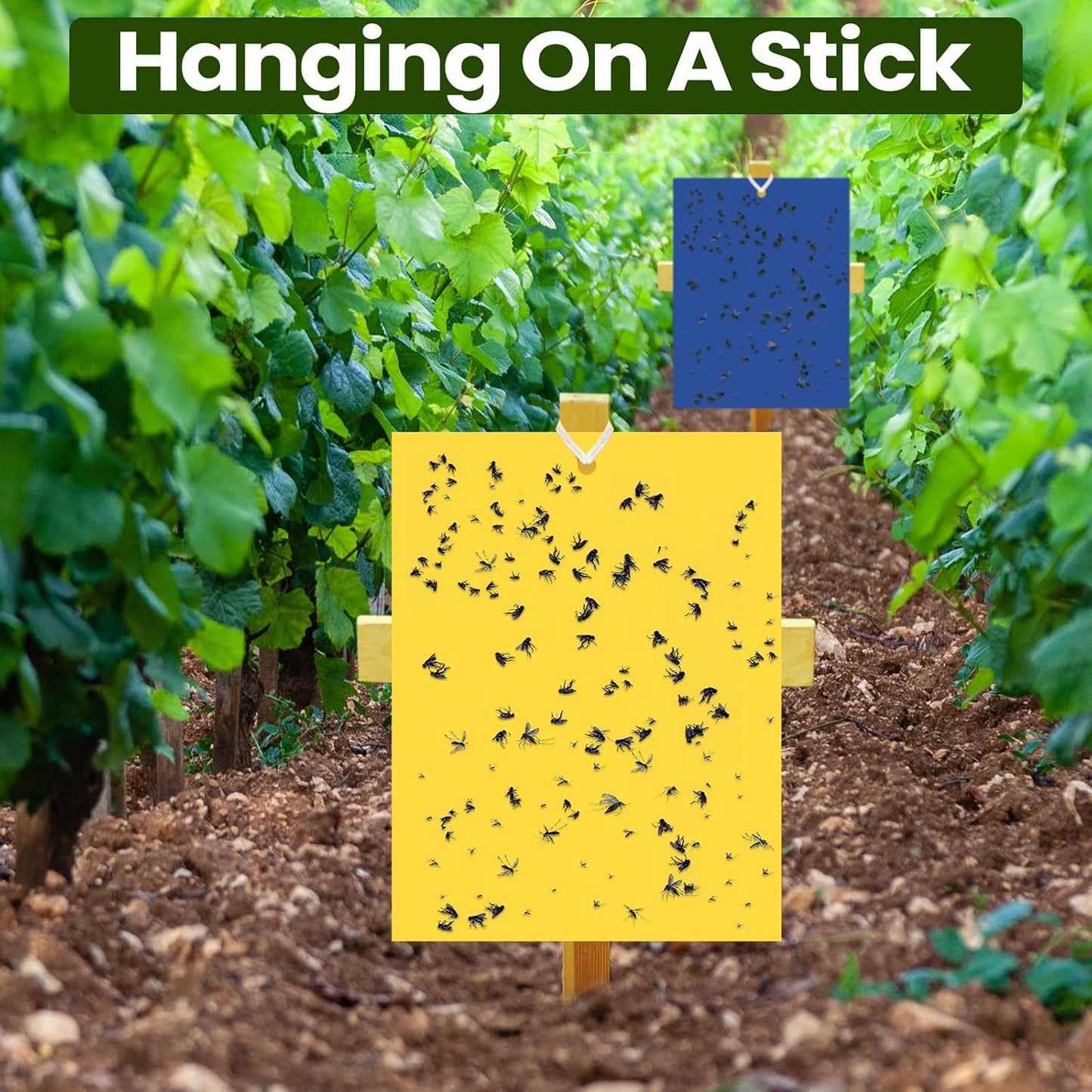 Qualirey 150 Pcs 6x8 Inch Yellow Sticky Traps for Gnats, Dual-Sided Sticky Gnat Traps for Indoor Outdoor Plants, Pest Control for Fungus Gnats, Fruit Flies, Whiteflies – Bulk Pack with Twist Ties