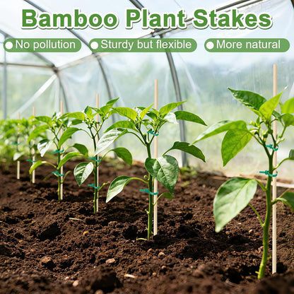 AUGSHY Plant Stakes 18 Inch, 40 PCS Natural Bamboo Garden Stakes | Eco-Friendly Reusable Natural Bamboo Material Splinter-Free Polished Surface Balanced Strength & Adjustable Support