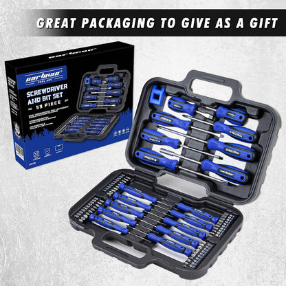 CARTMAN 59-Piece Precision Screwdriver Tool Set Magnetic Repair Storage Box | Precision screwdriver set with magnetizer for home, bicycle, office equipment, car repairs, electronics, and micro screw uses