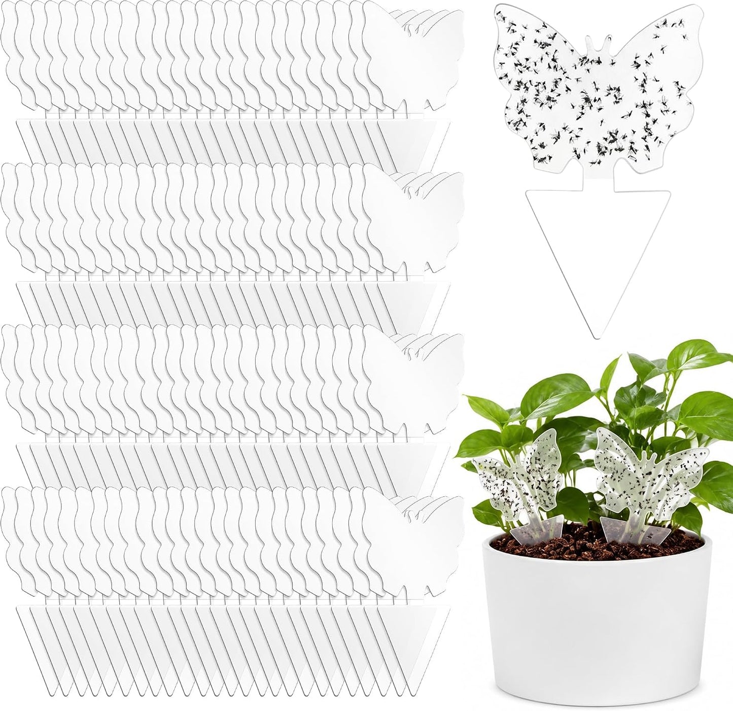 100 Pack Gnat Traps, Double Sided Plant Sticky Traps for Flying Insects, Clear Flying Bug Catcher for Indoor Outdoor Fruit Flies, Mosquitoes, Easy Release Liner for Plants, House