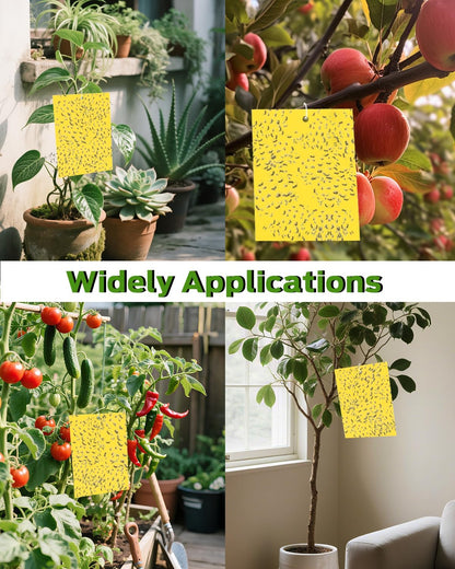 Yellow Sticky Traps for Plant Gnats, 100PCS Fungus Gnat Trap | for Gnat, Fruit Fly, Flying Insects, Bug, Waterproof, Non-Toxic Indoor Outdoor Use for Houseplants, Pots, Garden & Kitchen