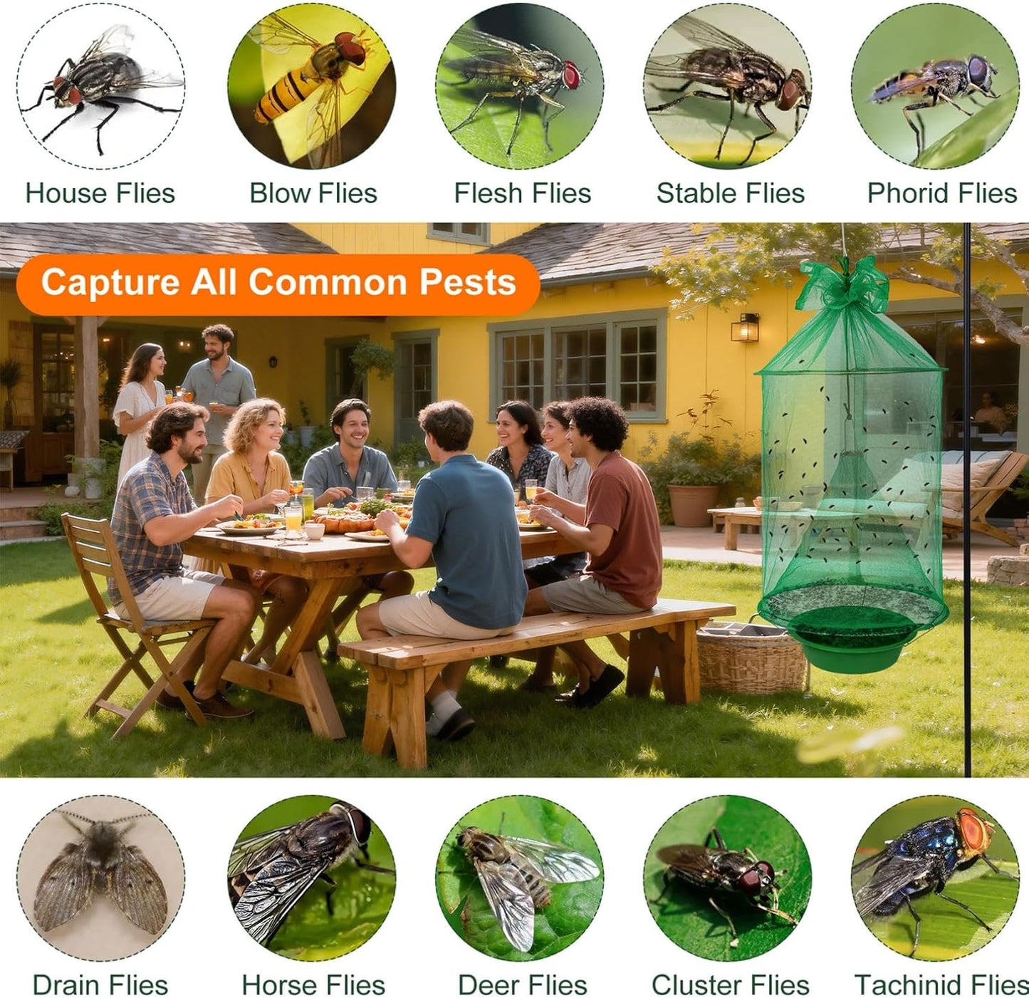 6 Pack Reusable Ranch Fly Traps Outdoor Hanging, Fly Catcher Killer Hunter Cage Control, Farm Horse Stable Fly Trap for Orchard, Barn, Garden