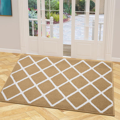 Finchitty Indoor Door Mat, Dirt Resistant and Absorbent, Low-Profile, Non-Slip, Washable Inside Floor Mats for Front Door, Back, and Entrance, 32" x 20", Grey