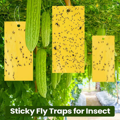 Qualirey 150 Pcs 7.8 x 3.9 Inch Yellow Sticky Traps for Plant Double Sided Sticky Trap for Gnats with Twist Ties Fly Traps for Fruit Insect Fungus Bugs Indoor Outdoor