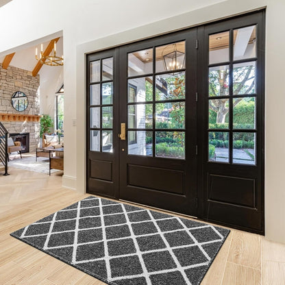 Finchitty Indoor Door Mat, Dirt Resistant and Absorbent, Low-Profile, Non-Slip, Washable Inside Floor Mats for Front Door, Back, and Entrance, 32" x 20", Grey