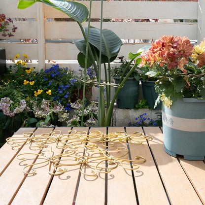 Yohsnor Monstera Plant Stem Support System - 5 Piece Set (5.5x4.7in) | Durable Plant Support Stakes for Climbing Plants & Fishbone Cactus | Ideal Leaf Stabilizer for Indoor Plants & Monstera Care
