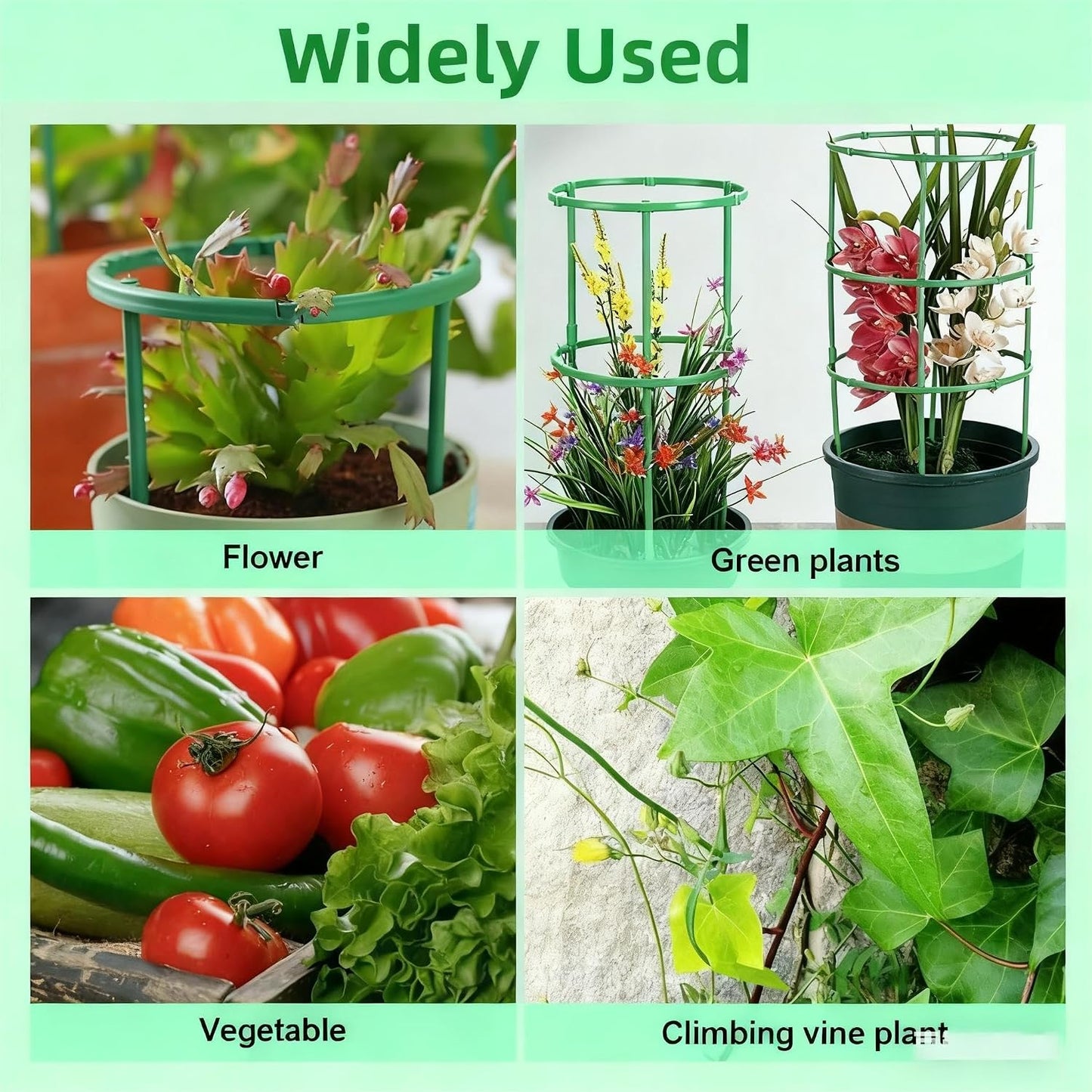 12PCS Plant Support Stakes Half Round Plant Stakes for Indoor Plants, Stackable Garden Flower Support, Plant Cages for Tomato,Monstera, Peony, Hydrangea, Climbing Plants