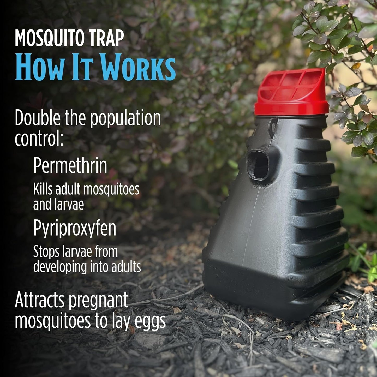 Grandpa Gus's Mosquito Trap and Outdoor Bug Killer - Water-Activated Larvae Control for Backyard, Patio, and Garden - Up to 35 Days & 1,500 Sq Ft of Protection Per Trap, 2 Pack
