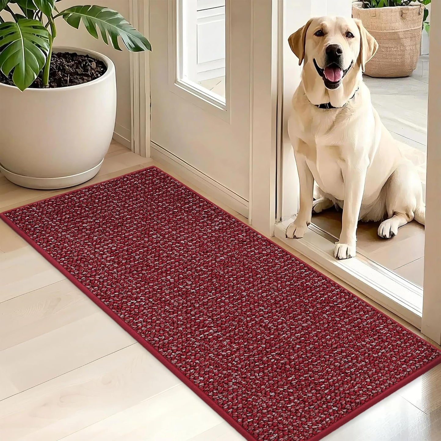 BEQHAUSE Dirt Trapper Door Mat 20" x 32", Non-Slip Washable Doormats Entrance Mat, Dirt Resistant and Absorbent Welcome Mat, Low Profile Floor Mats for Front Back Door and Entryway, Beige