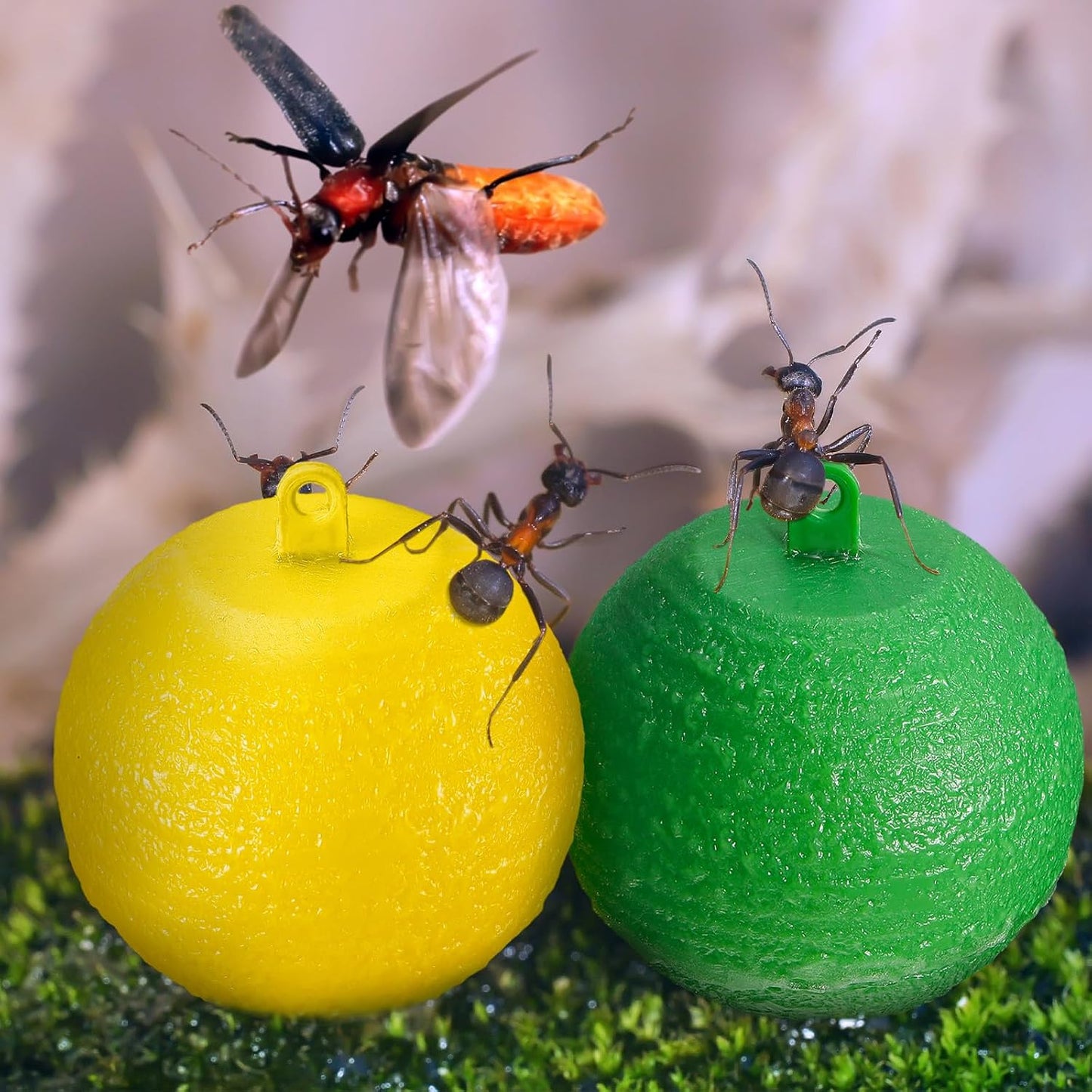 Qualirey 10 Pcs Sticky Fruit Fly Trap Ball Adhesive Fly Catching Ball Sticky Glue Fly Gnat Wasp Hornet Mosquito Bugs Flying Insects Trap Ball Traps (Yellow)