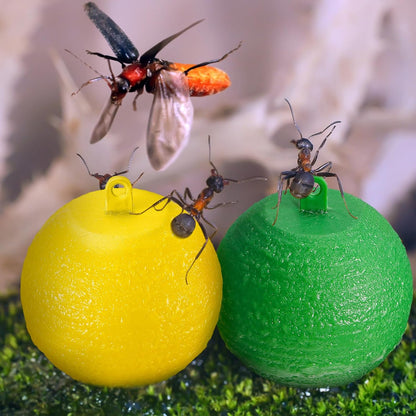 Qualirey 10 Pcs Sticky Fruit Fly Trap Ball Adhesive Fly Catching Ball Sticky Glue Fly Gnat Wasp Hornet Mosquito Bugs Flying Insects Trap Ball Traps (Yellow)