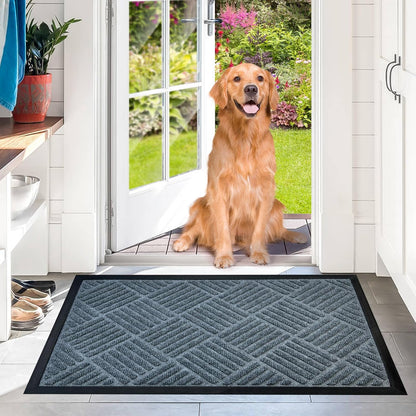 DM23 Heavy Duty Front Door Mats Non Slip Rubber Backing Entrance Mat Shoes Scraper Welcome Mat