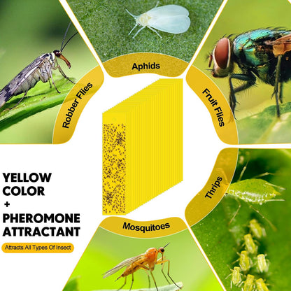 250 Pack Yellow Sticky Fly Traps for Gnats Indoor Outdoor with Twist Ties Double Sided Hanging Fly Paper Strips for Plant Insect Mosquitoes Fruit Flies Garden Farm Kitchen (2 x 10 Inch)