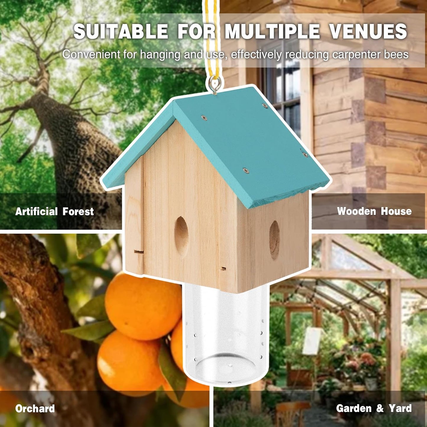 Carpenter Bee Trap for Outside - Best Bee Trap - Blue Cabin Style Nature Hanging Wood Carpenter Bee Traps Outdoor - Insect Traps with Removable Vault (2 Pack)