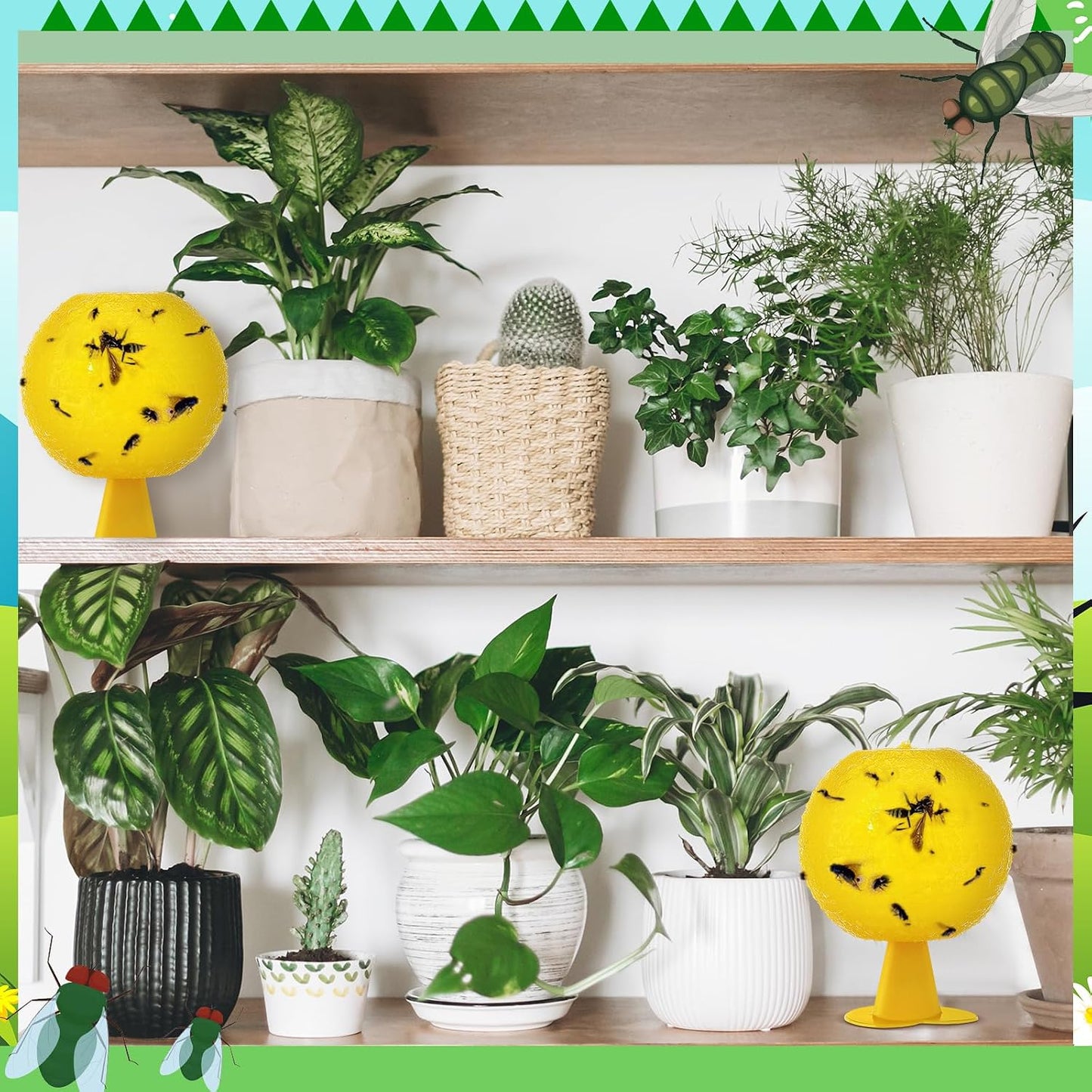 Qualirey 10 Set Fruit Fly Sticky Trap Balls Fungus Gnat Killer Bug Catcher Gnat Trap Insect Traps Indoor Outdoor Plant Fly Sticky Traps Ball for Fungus Plants (Orange)