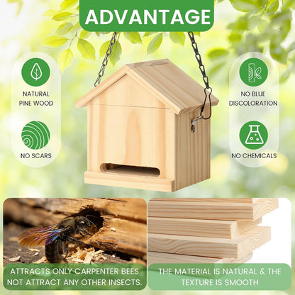 Carpenter Bee Trap for Outside - Wasp Traps Outdoor Hanging with Sticky Traps - Carpenter for Wasps, Mud Daubers (2 Bee Trap+8 Refills)