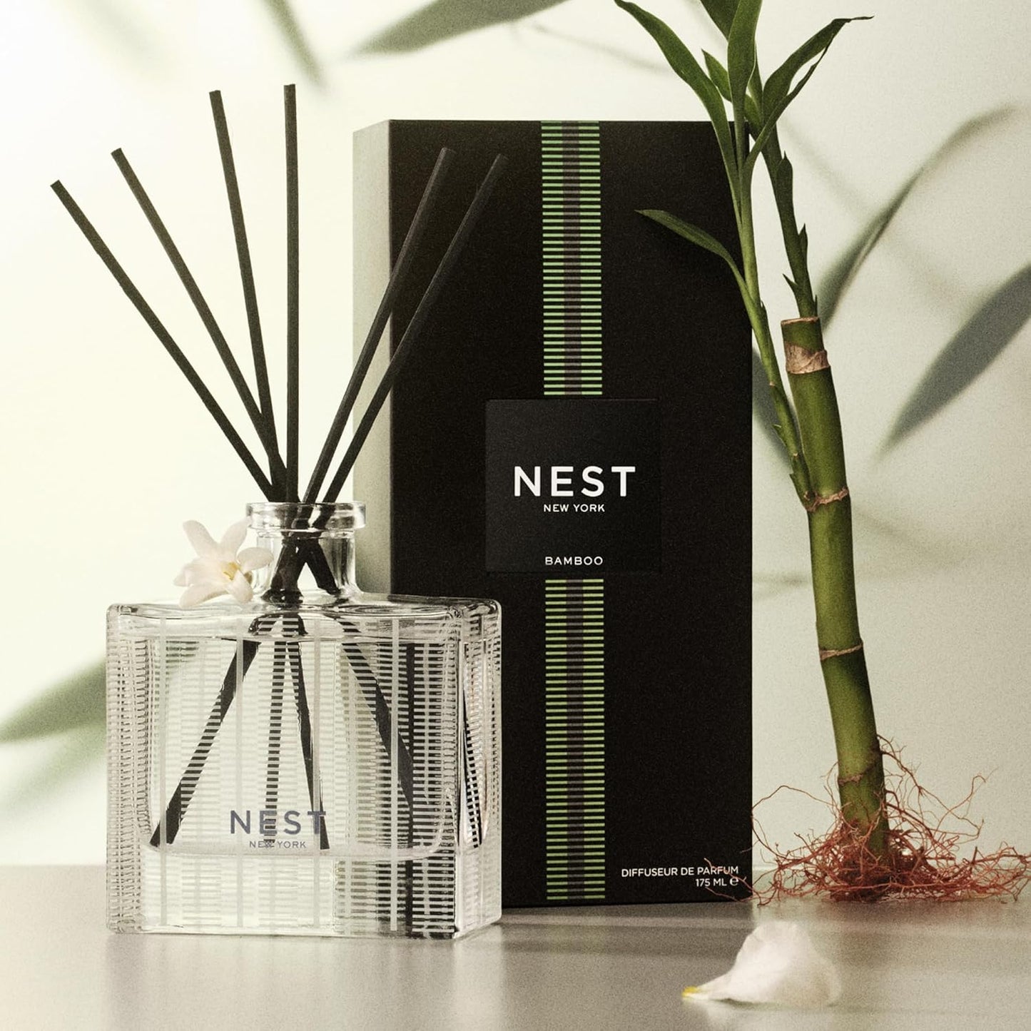 NEST New York Reed Diffuser, Moroccan Amber - 5.9 fl oz - Fragrance for Up to 90 Days - Reusable, Refillable Glass Holder - Includes 8 All-Natural Reed Sticks - Flame Free