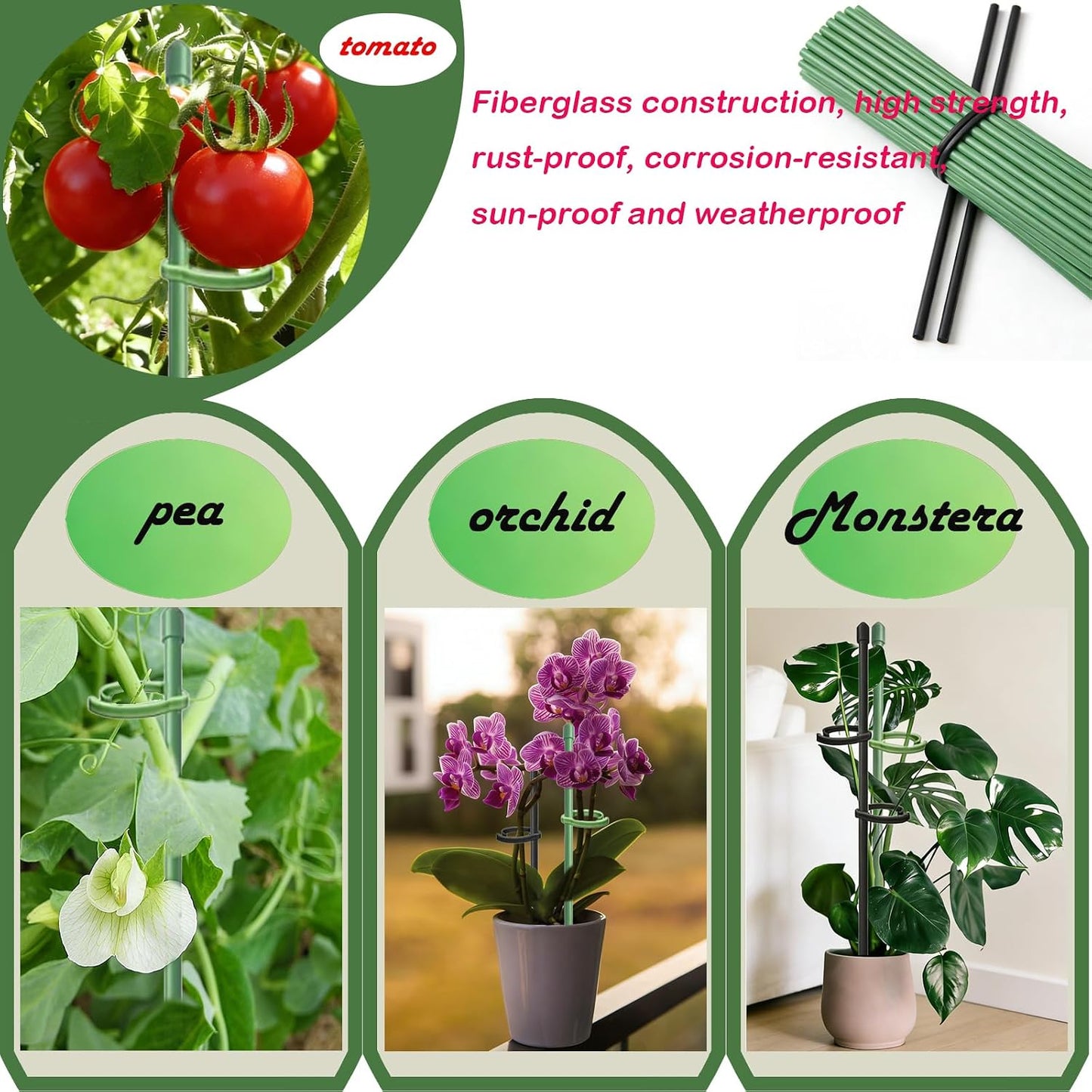 Plant Stakes for Indoor Plants, Height Adjustable Plant Stake with Clips, Durable Support Pole for Indoor Monstera, Orchid, Tomato & Potted Plants (13 Inches, 10 Green & 2 Black)