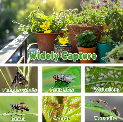 Yellow Sticky Traps for Plant Gnats, 50 Pack Fungus Gnat Trap, Effective Sticky Gnat Traps for Indoor and Outdoor Plants