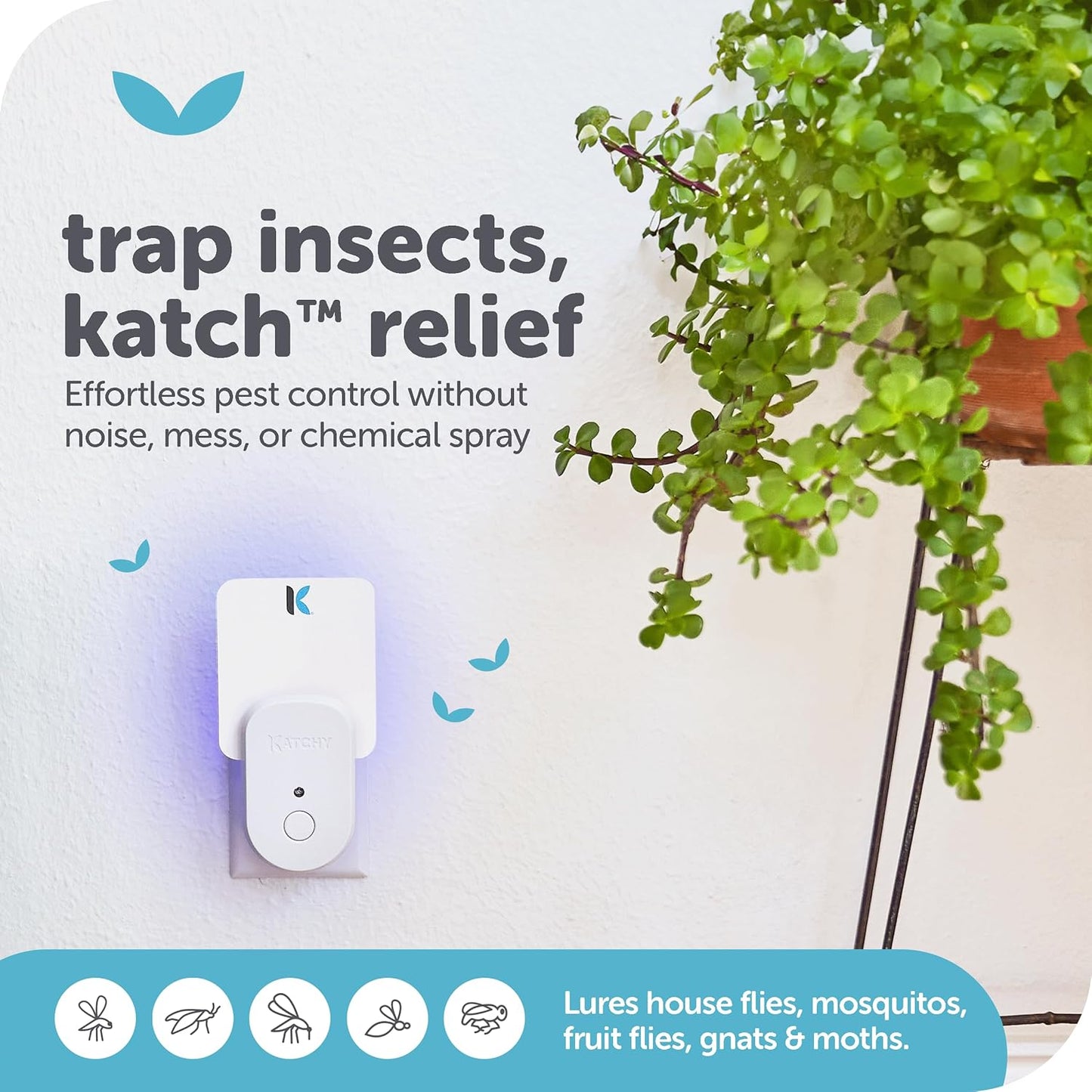 Katchy Flying Insect Trap Indoor – Catcher & Killer for Mosquito, Fruit Fly, Gnat & Small Moth – Non-Zapper with Suction & Blue Light – Ideal for Indoor Spaces, Kitchen & Plants (Original, Black)