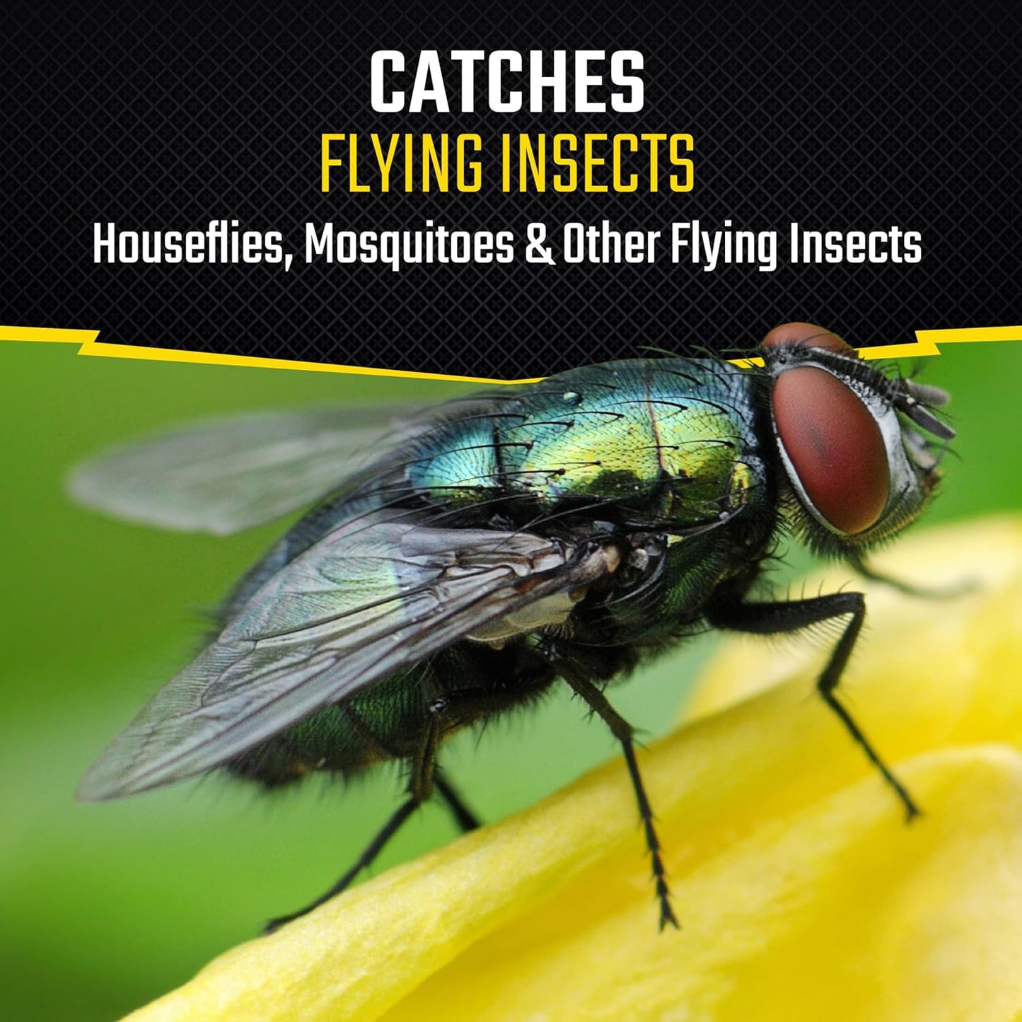 Black Flag Fly Stick, Trap Houseflies and Flying Insects, Pack of 6