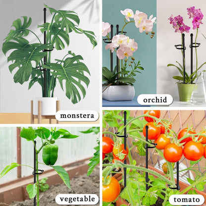 Plant Stakes 17inch &11inch SupKing Adjustable Length Plant Support Stake 16Pcs Orchid Stick with Clips for Indoor Outdoor,Garden Pole for Potted Tomato Amaryllis Vegetables Comes with 20 Ties (Green)