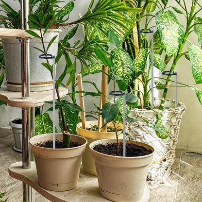 Adjustable Plant Stakes for Support, 17-32 Inch Extendable Plant Stake for Heavy Duty Plant Support, Metal Plant Stakes for Indoor Outdoor Potted Flowers, Monstera, Tomatoes (32.2inches-5Pack)