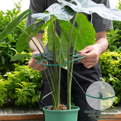 Yohsnor Monstera Plant Stem Support System - 5 Piece Set (5.5x4.7in) | Durable Plant Support Stakes for Climbing Plants & Fishbone Cactus | Ideal Leaf Stabilizer for Indoor Plants & Monstera Care