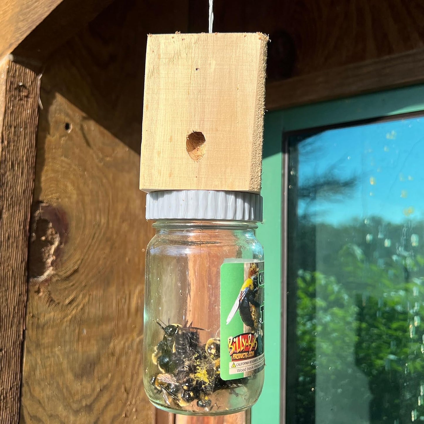 Billy Bob Carpenter Bee Trap - Made in the USA - Solid Wood Top - Outdoor Insect Trap for Carpenter Bees - Old Fashioned Mason Jar Design