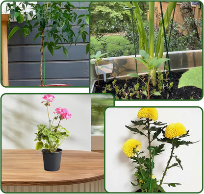 Plant Support Stakes for Indoor - 15pcs Garden Sticks with 3 Adjustable Heights for Monstera/Orchid/Pepper/Flower, Plants Holder Pole with 6 Clips
